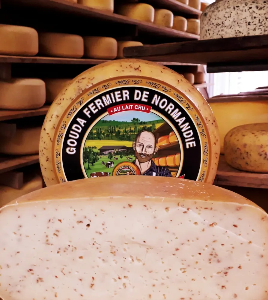gouda fermier près de Normandie