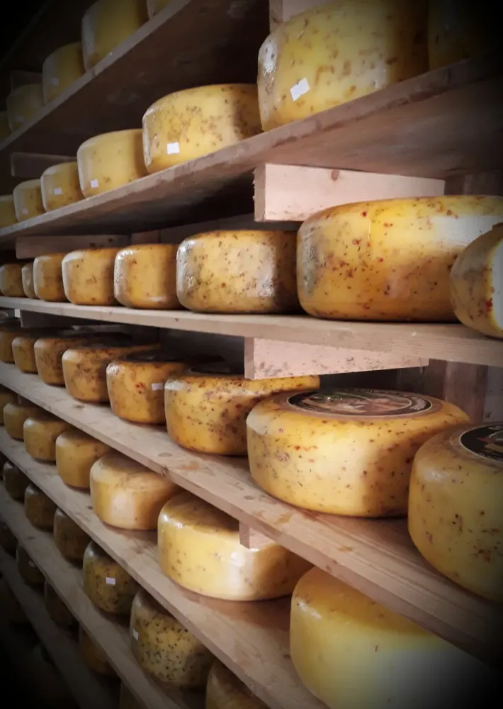 vente directe de fromage près de Normandie