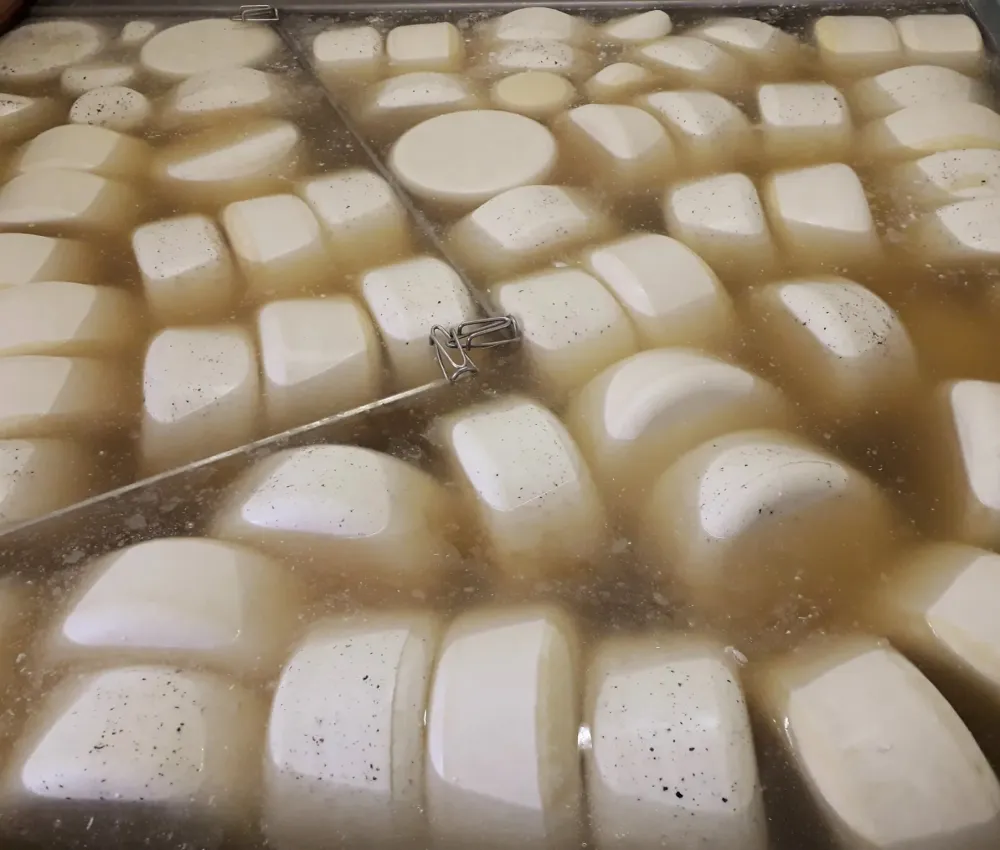 fromage fermier Normand près de Normandie