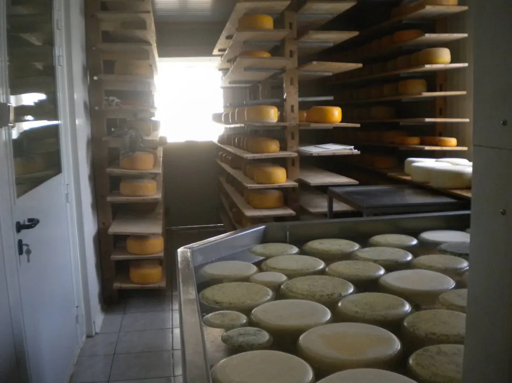 livraison de gouda près de Normandie