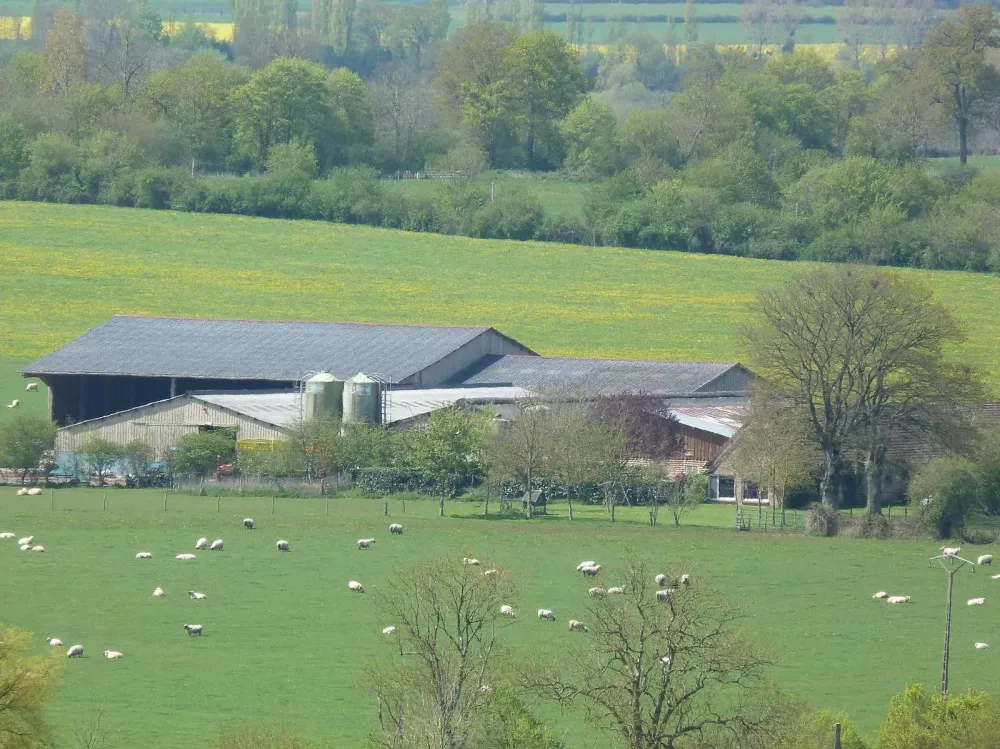la ferme (1)