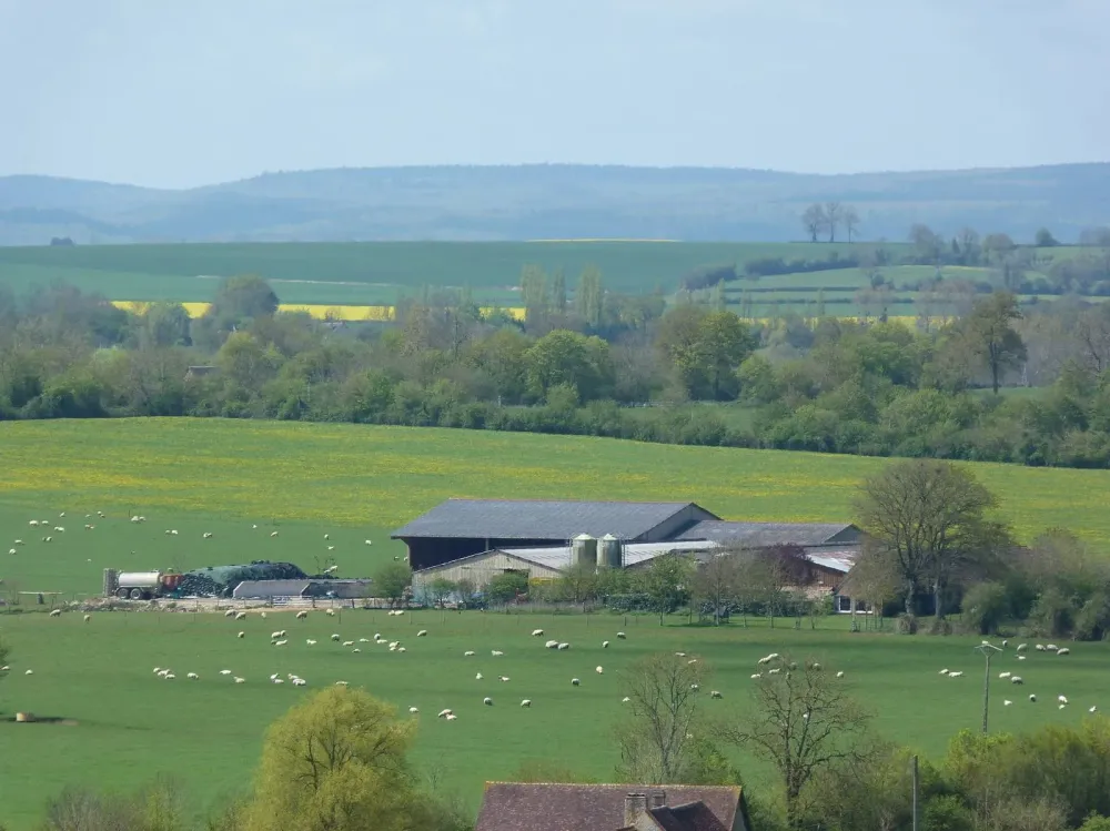 ferme près de Normandie